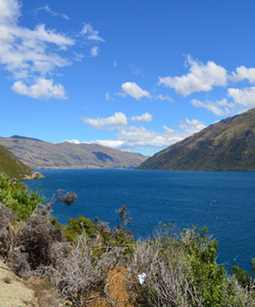 Moke Lake景点门票图片
