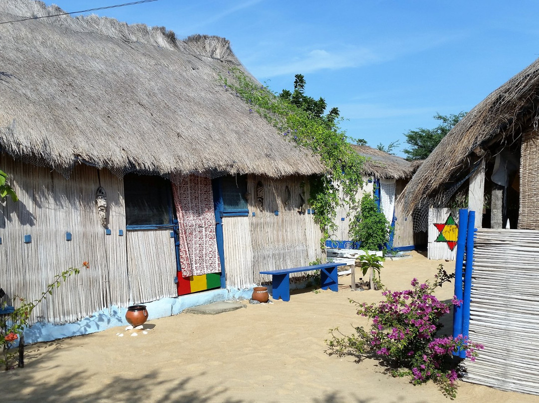 A&Y Wild Camp Ghana