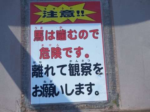 Nomauma Highland-今治市必去景点