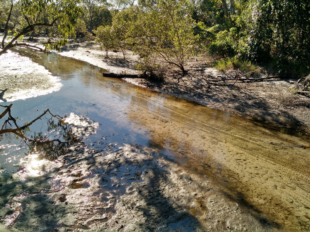Myora Springs Conservation Area-North Stradbroke Island必去景点