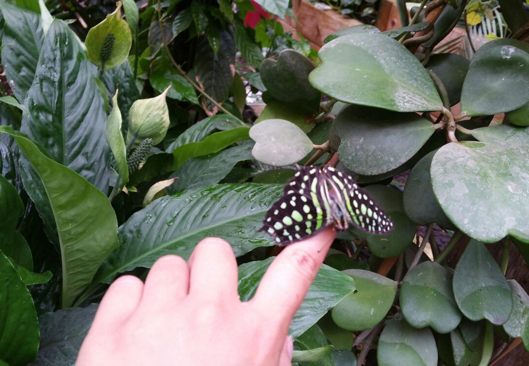 Dschungelhaus in Tirol-Terfens必去景点