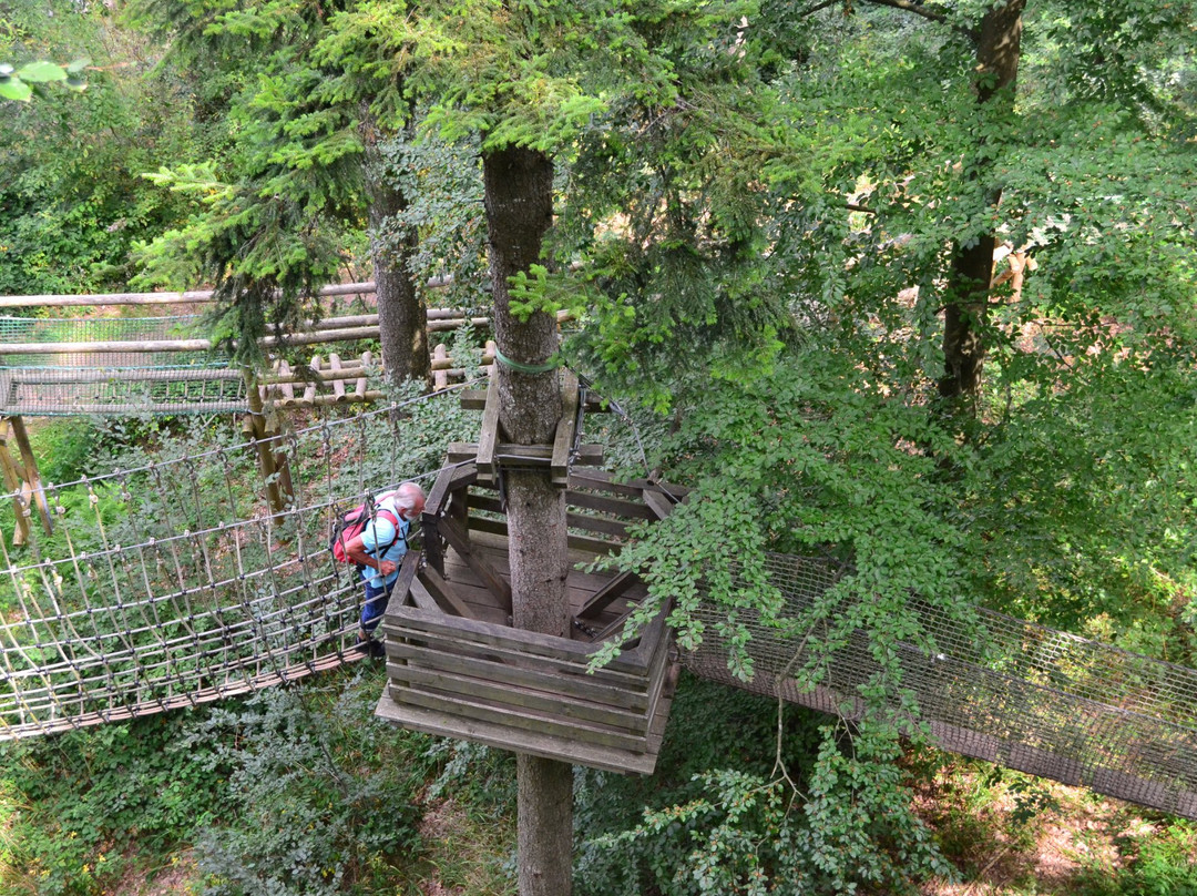 Baumkronenweg Waldkirch景点图片