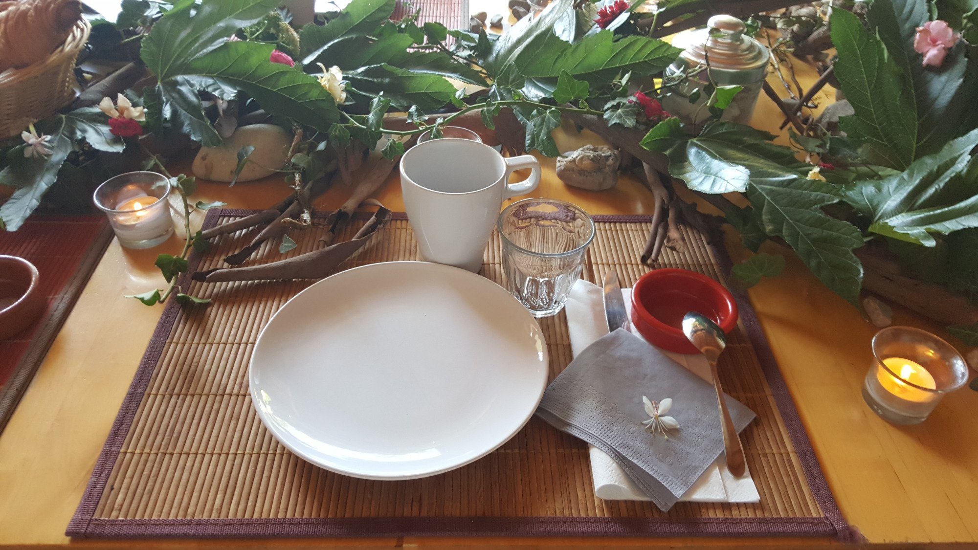 Le Vieux Platane-餐饮