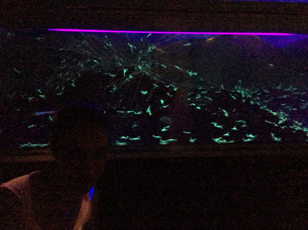 Museo de la Ciudad 450-Durango必去景点