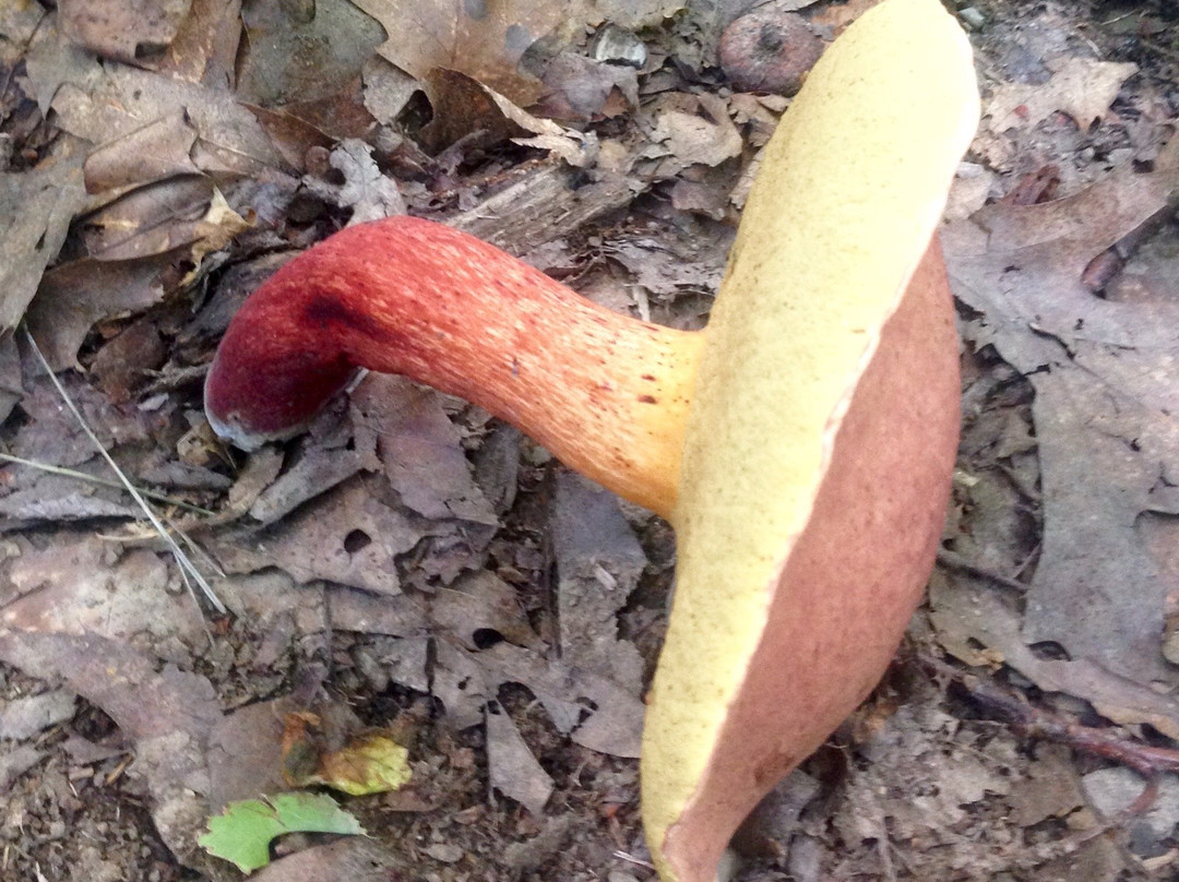 Fishkill Ridge-Beacon必去景点