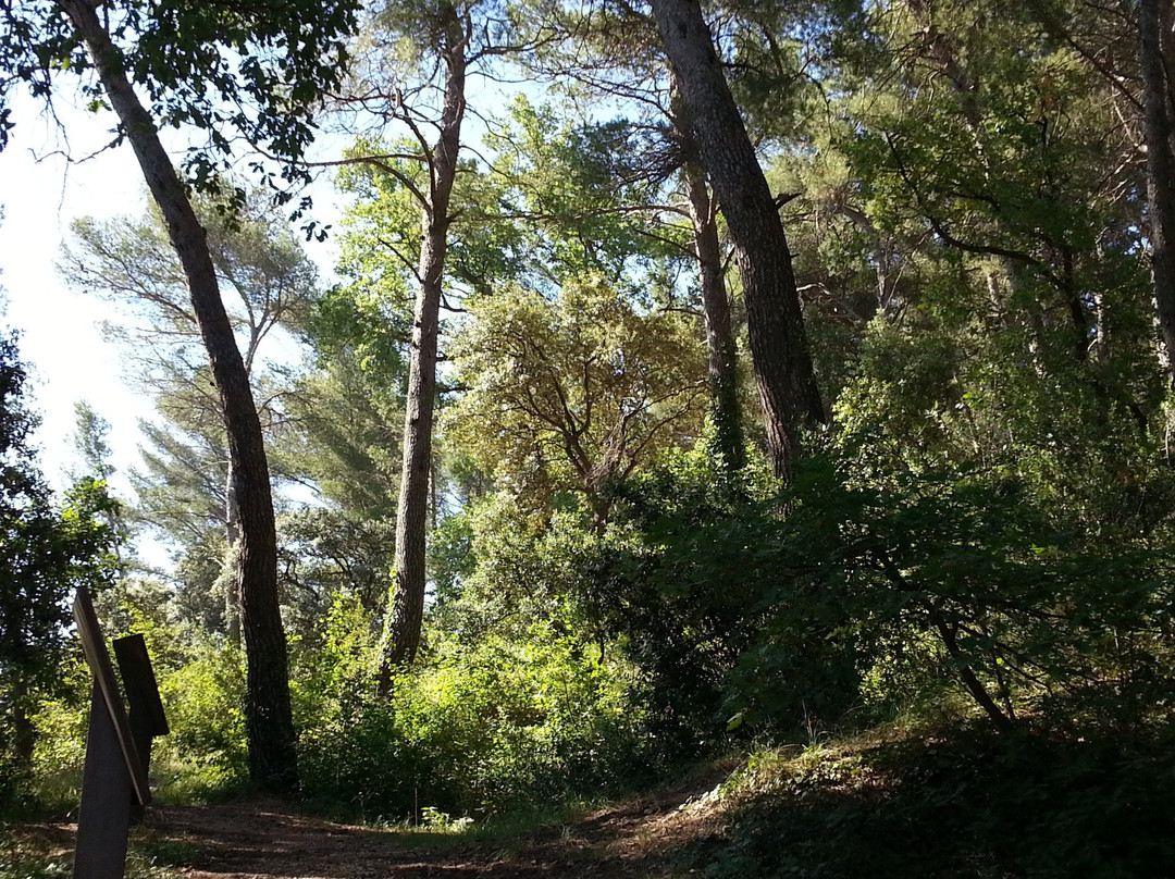 Gardanne旅游攻略图片