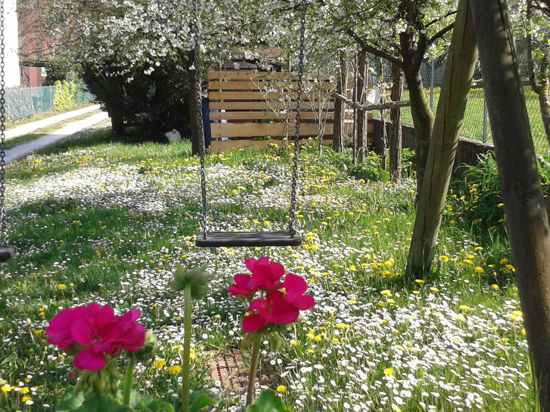 B&B Casa Francesca主图