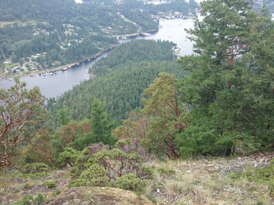 Mount Daniel-阳光海岸必去景点