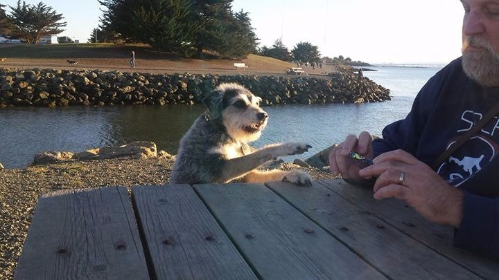 Point Isabel-列治文必去景点