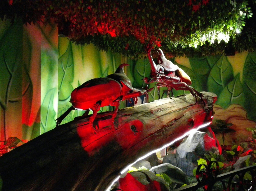 梦幻谷-东阳市必去景点