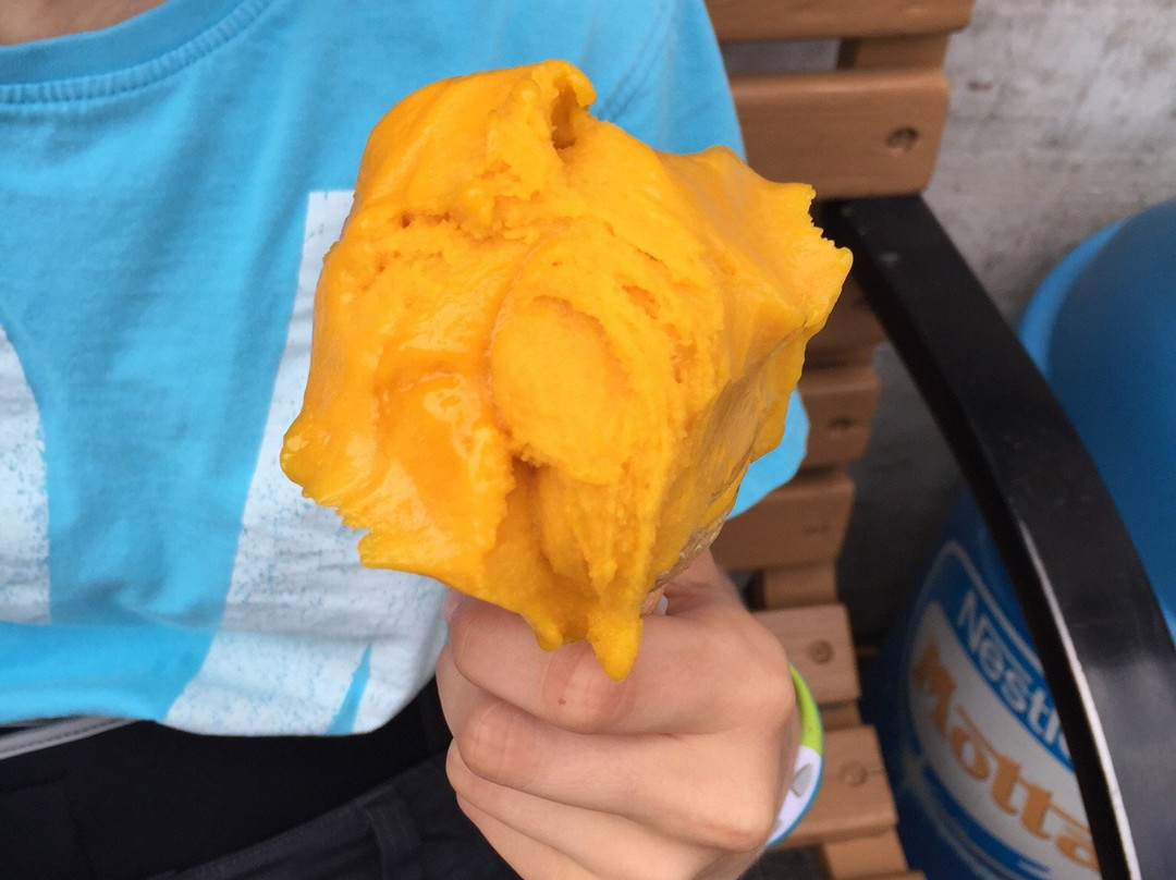 Bar Gelateria Manu景点图片