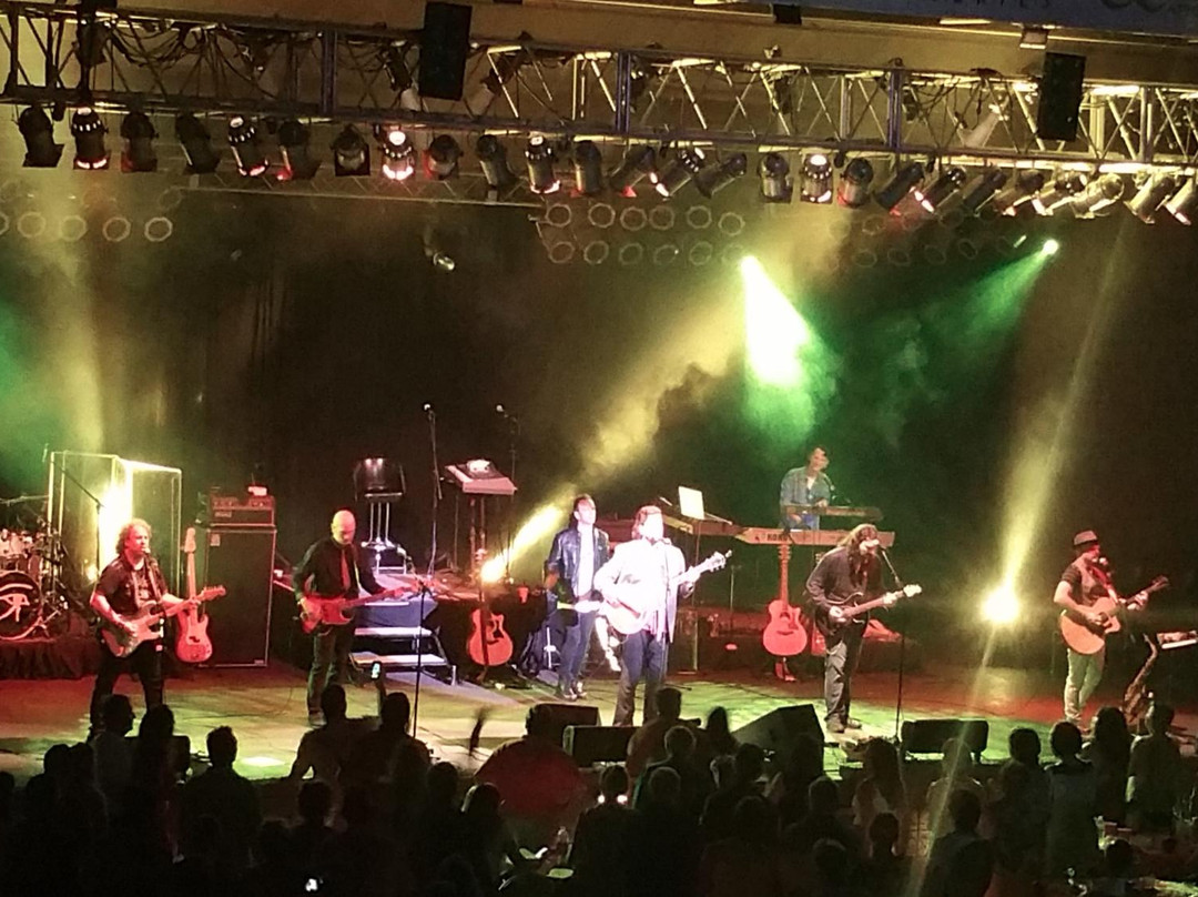 Frederick Brown Jr. Amphitheater-桃树市必去景点