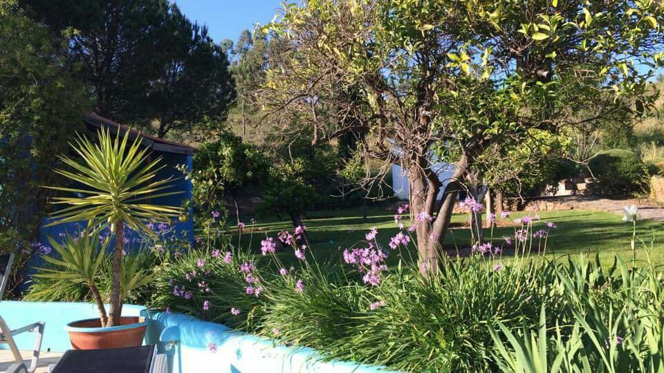 Casa do Palmeiral主图