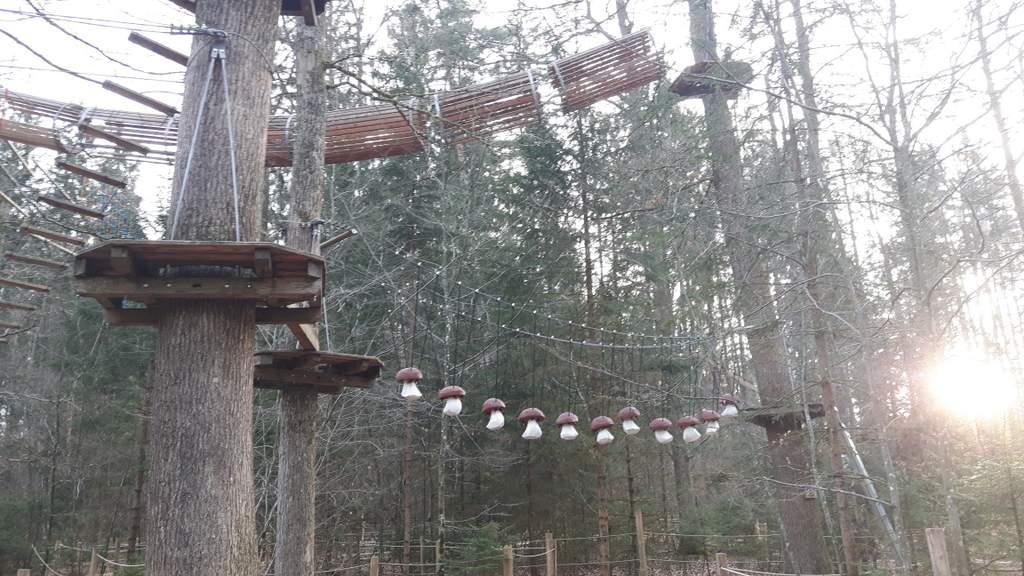 Kletterwald Munich景点图片