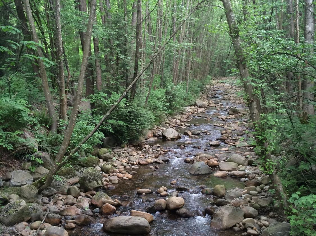Mosquito Creek Hiking Trail-北温哥华必去景点