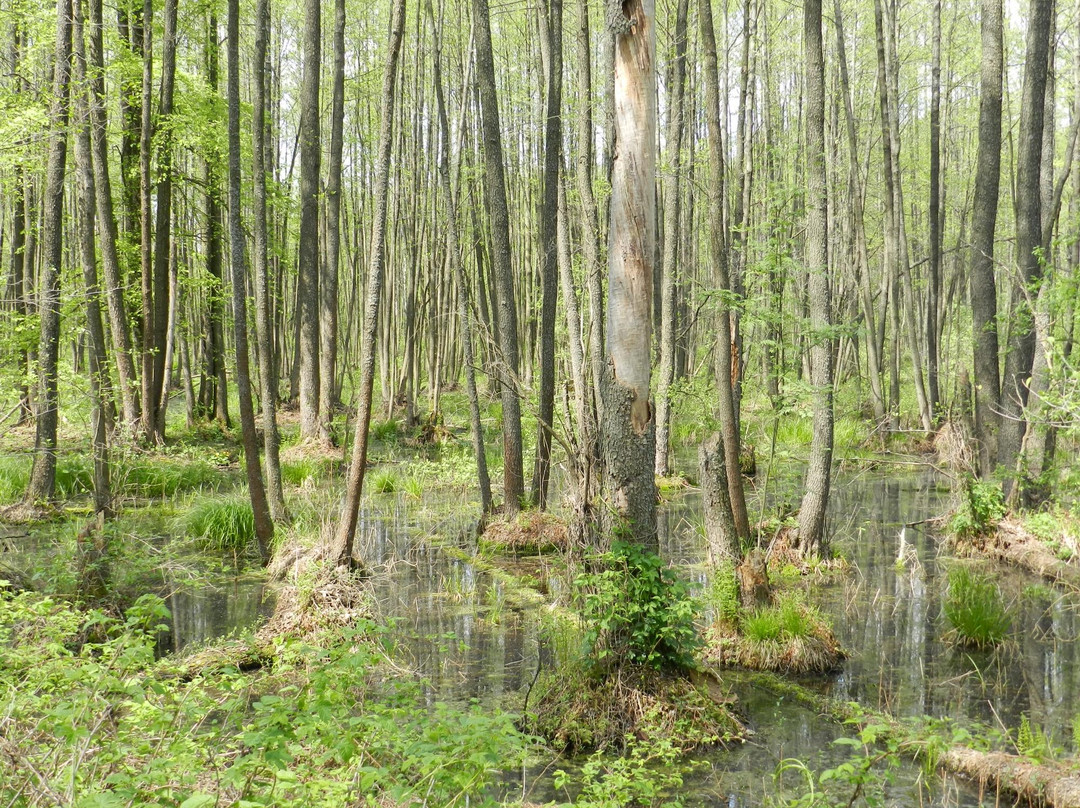 Kozelets旅游景点-Mizhrichynskyi Regional Landscape Park