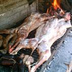 Hosteria Los Angeles主图