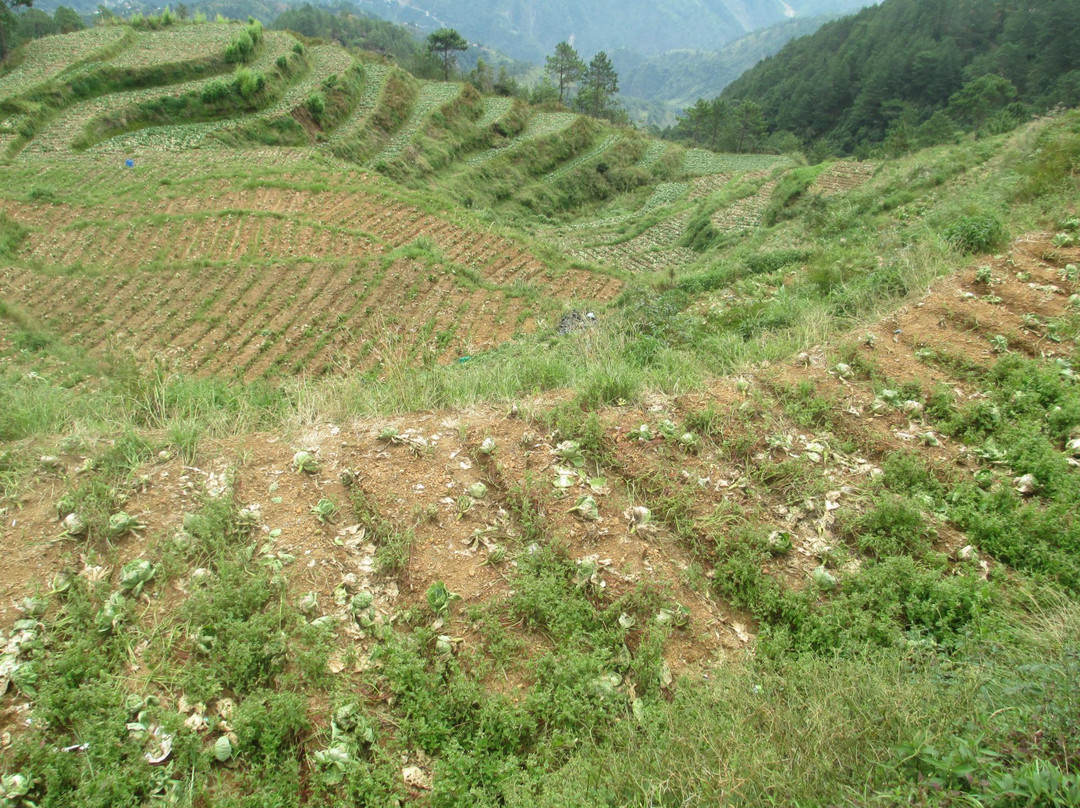 Sitio La Presa景点图片
