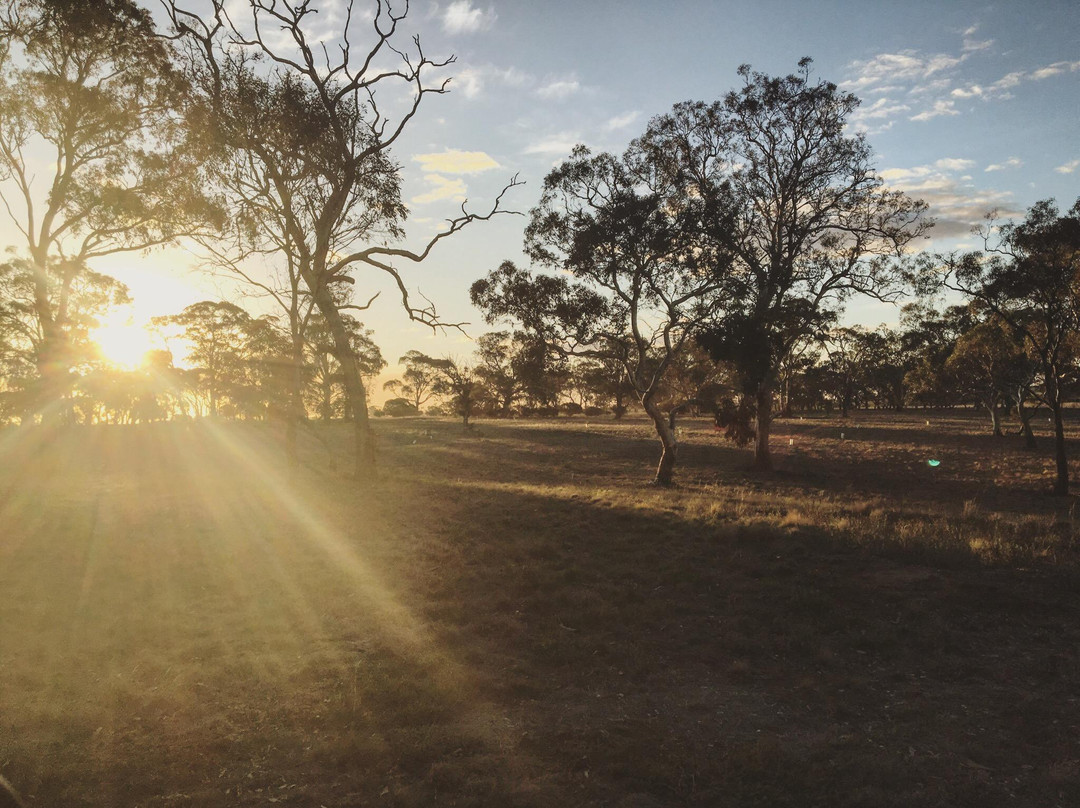 Austin's Wines-Sutherlands Creek必去景点