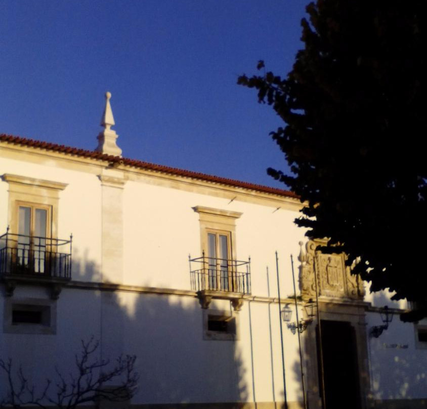 Palacio dos Figueiredos景点图片