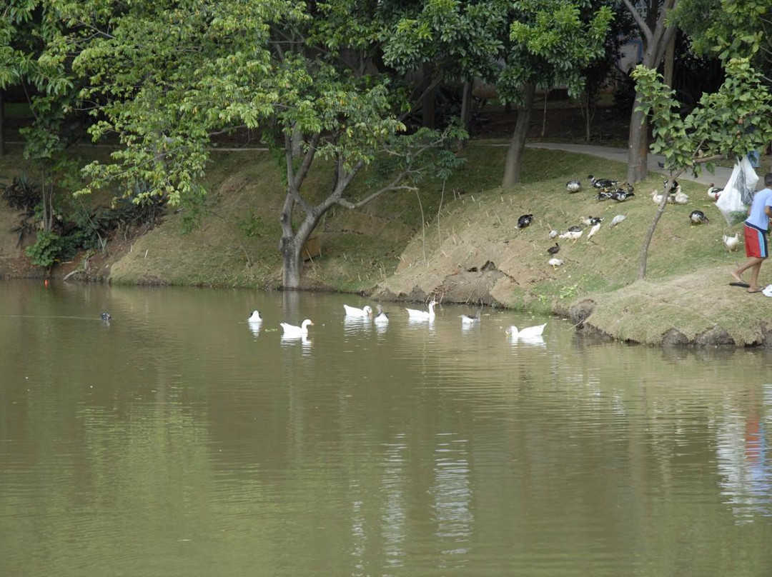 Parque Botanico Eloy Chaves-容迪亚伊必去景点