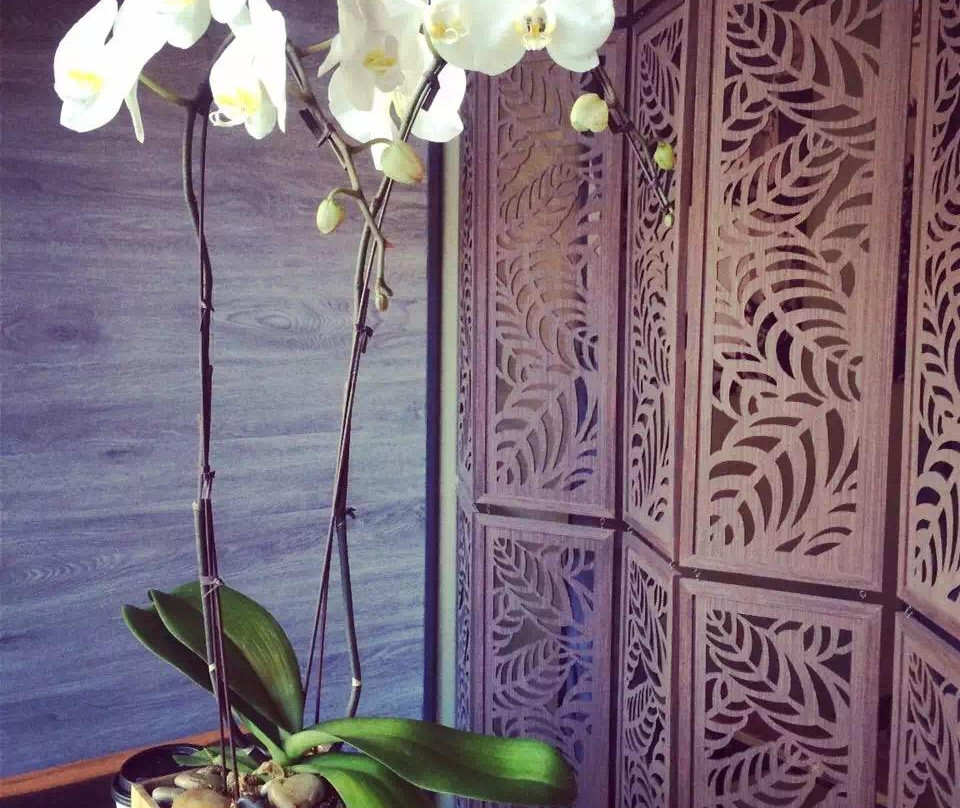 Barefoot Oasis Foot Massage & Spa-温哥华必去景点