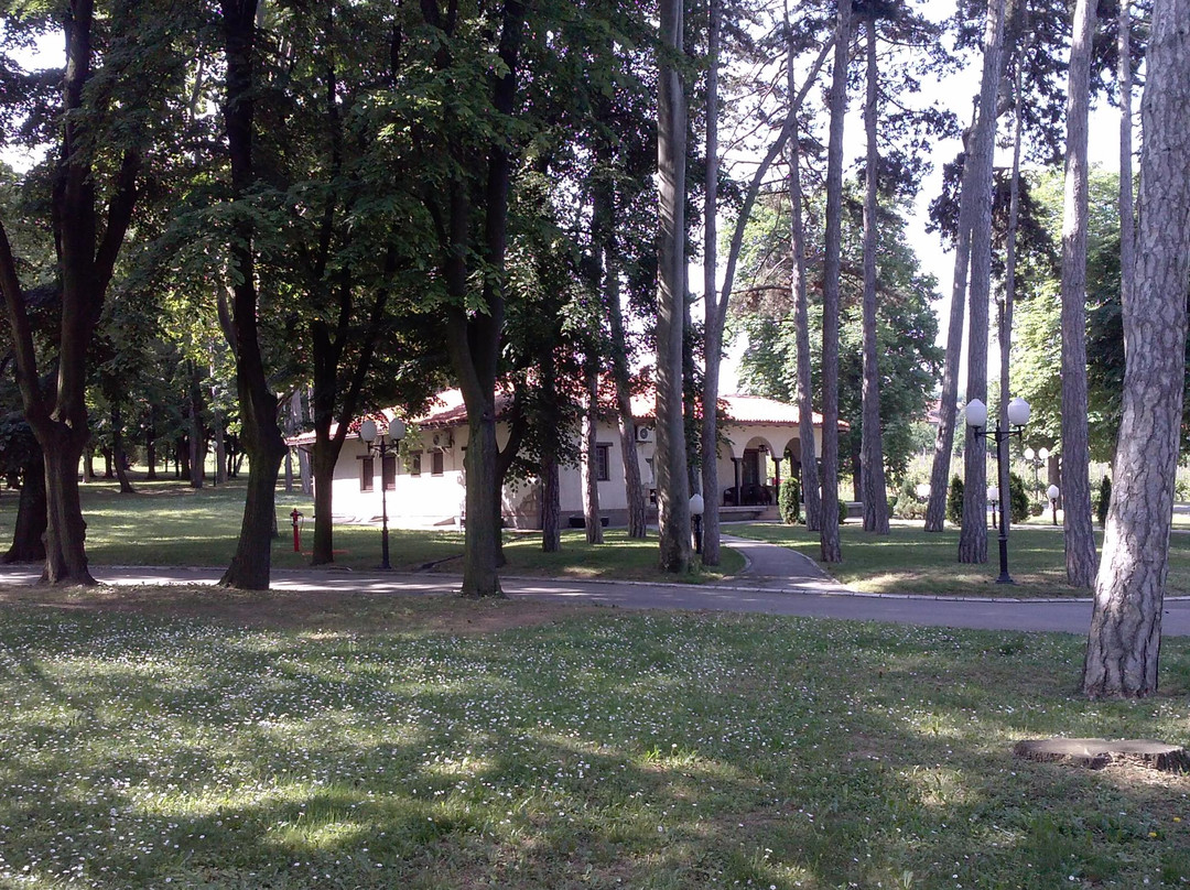 Golden Hill Villa-Smederevo必去景点