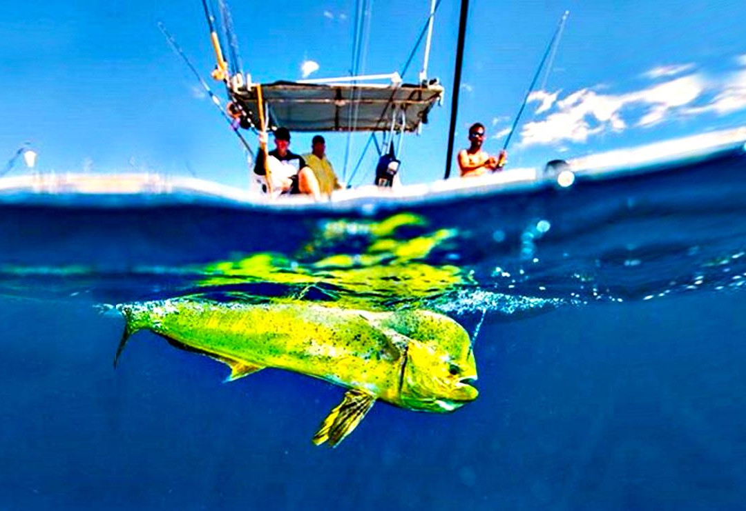 Prime Fishing Charters-塩石必去景点