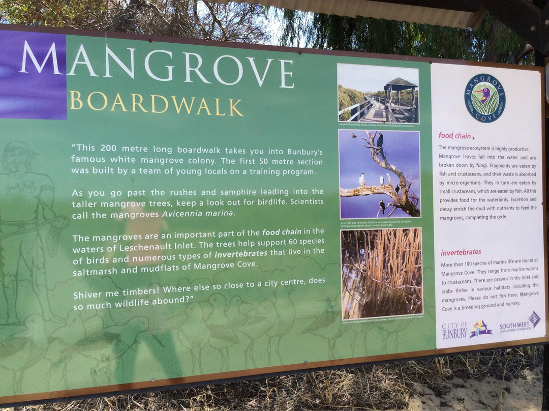 Mangrove Boardwalk景点图片