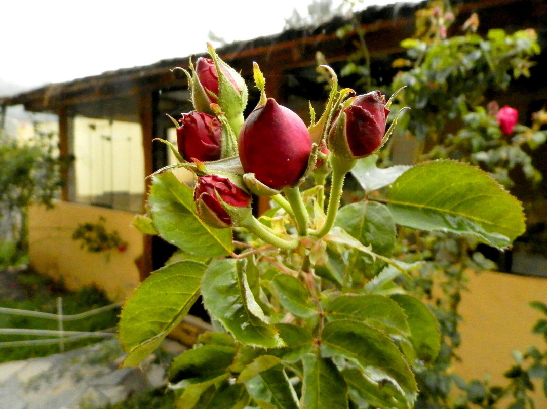 La Posada del Conde Lodge主图