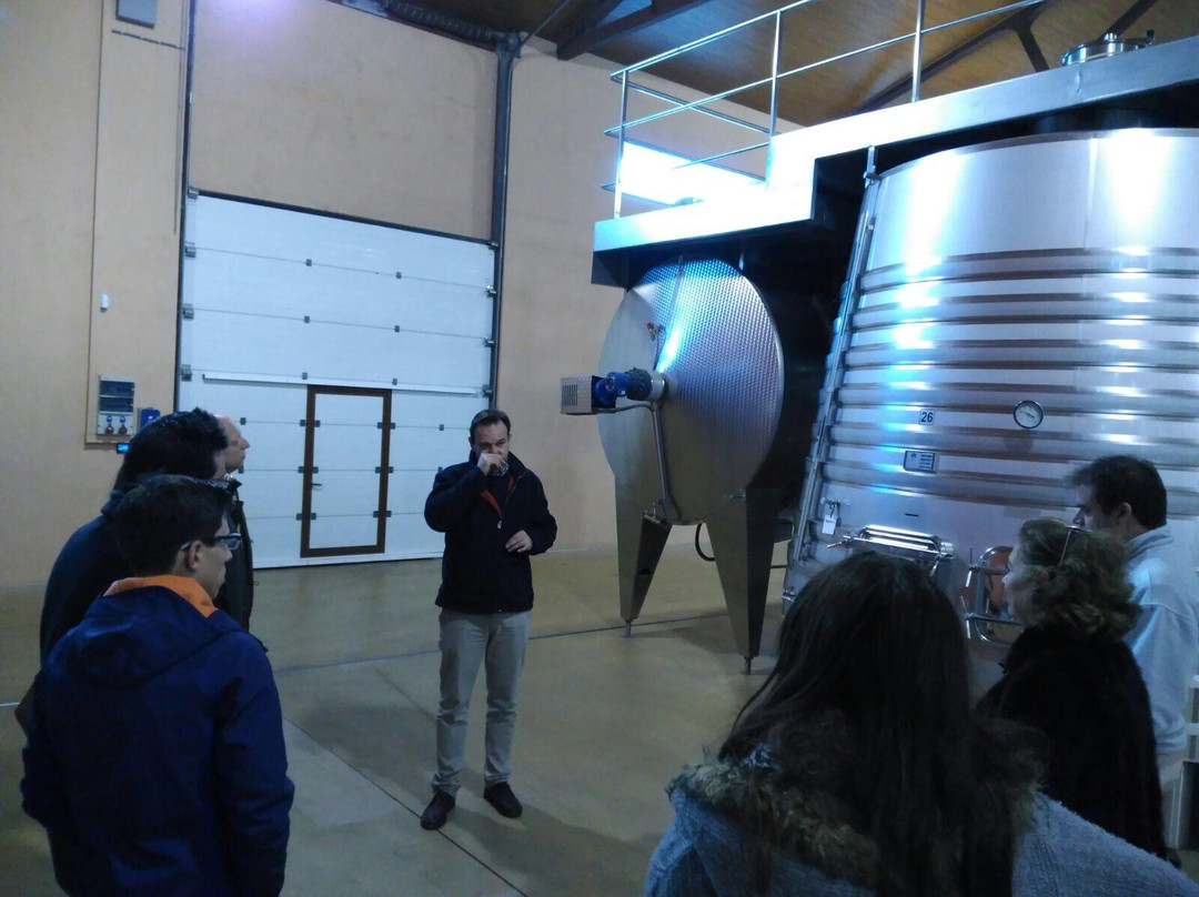 Bodegas Lopez Cristobal景点图片