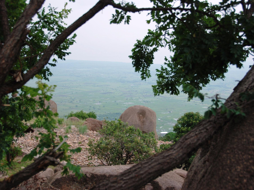 Balili Mountain Resort & Campsite