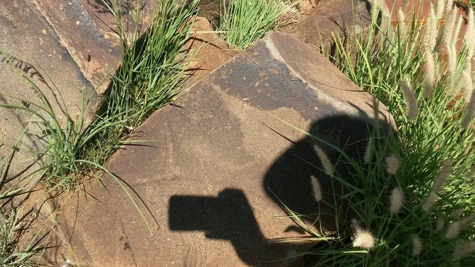 Wildebeest Kuil Rock Art Centre-金伯利必去景点