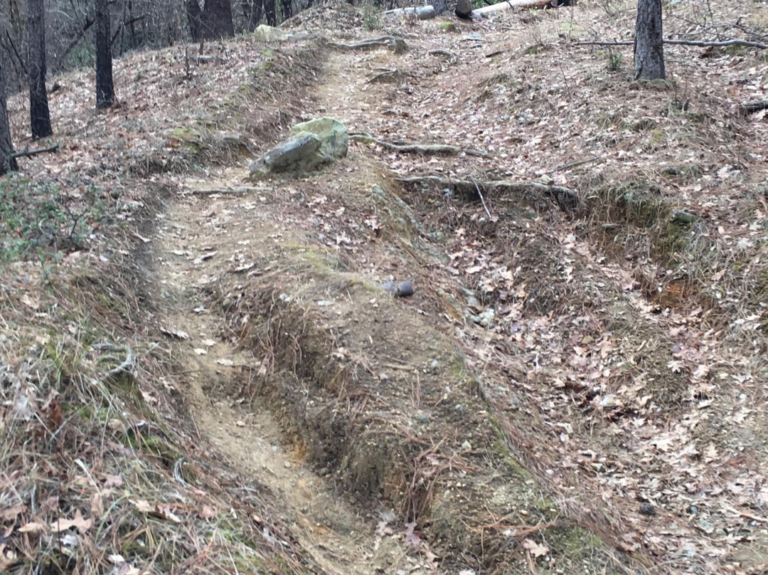 Brandy Creek Falls-Whiskeytown必去景点