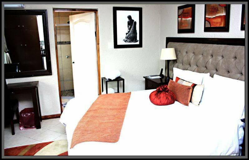 Sterpark Guesthouse主图