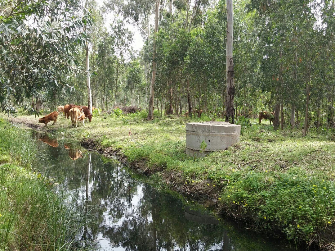 HaSharon Park-Hadera必去景点