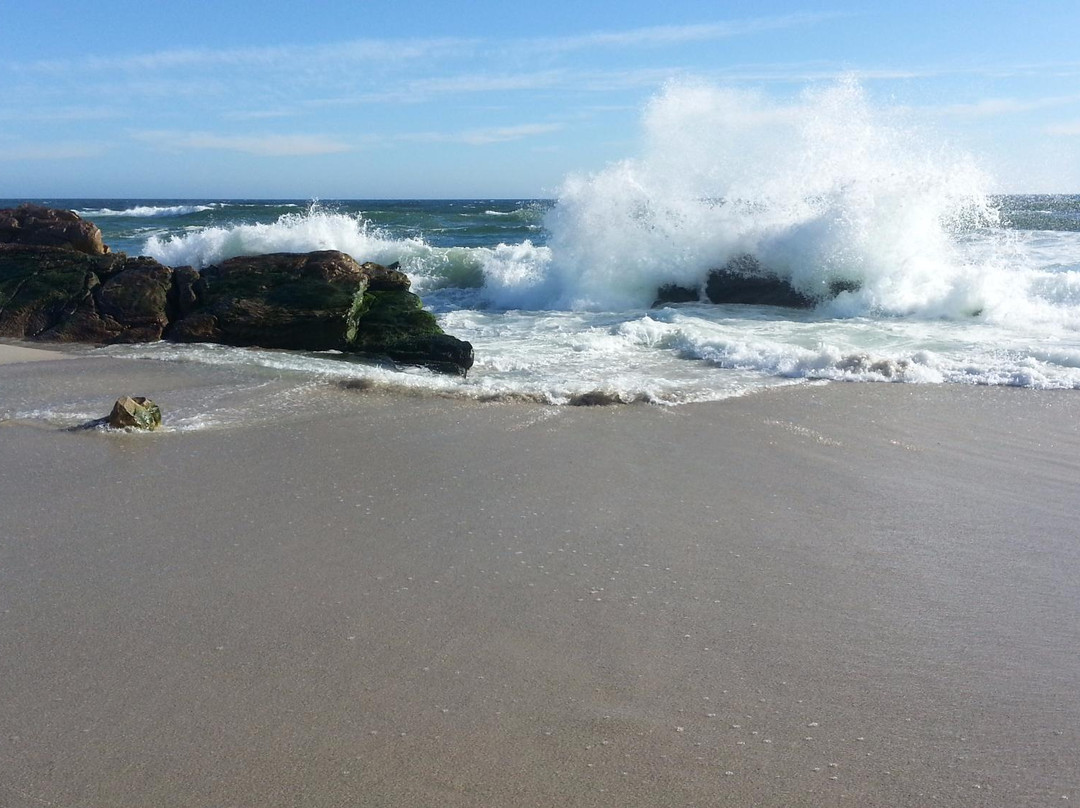 Fryer's Cove Vineyards