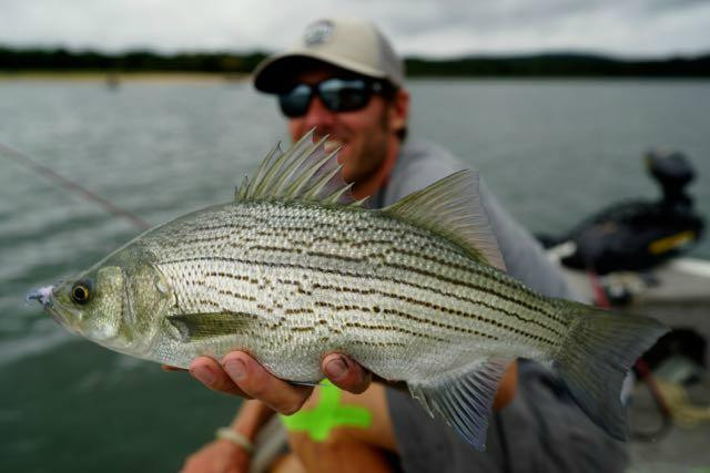 Rouse Fly Fishing-Heber Springs必去景点