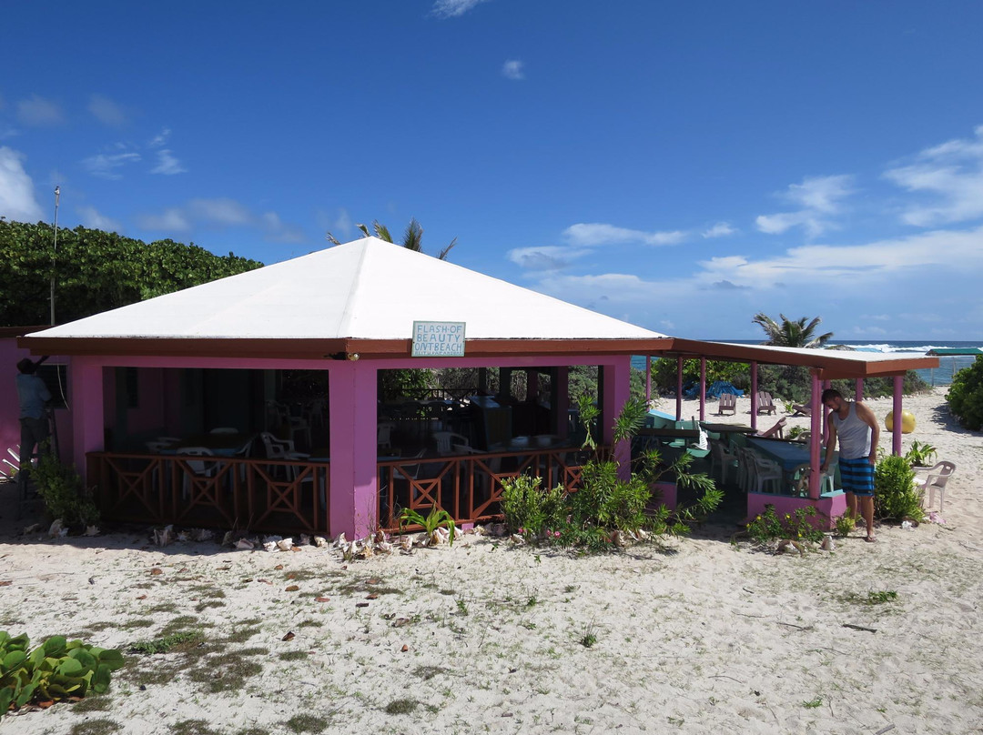 Flash of Beauty-Anegada必去景点