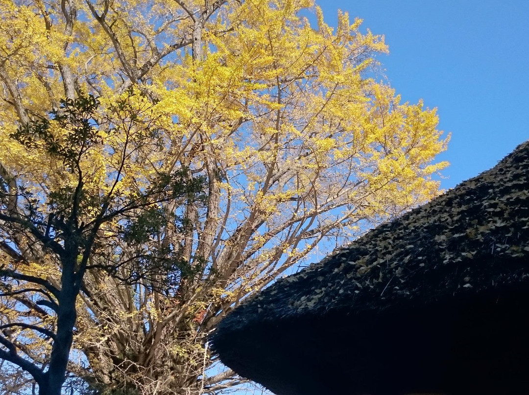 Kingen-ji Temple-奥出云町必去景点