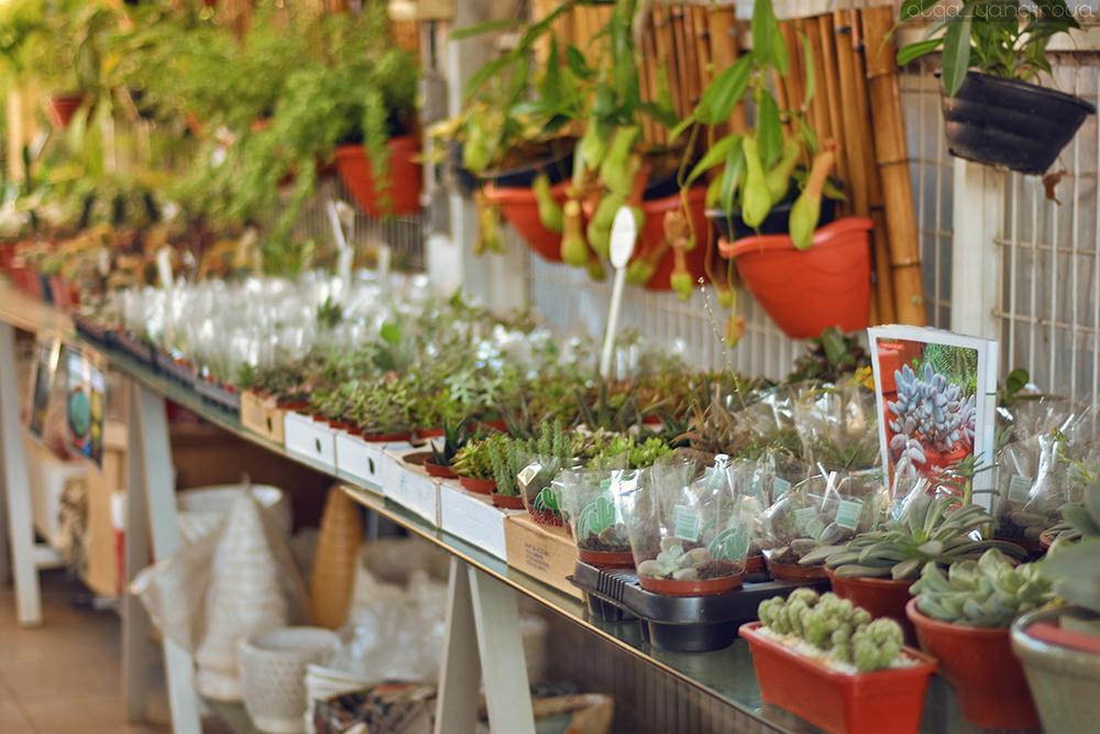 CEAGESP Sorocaba-索罗卡巴必去景点