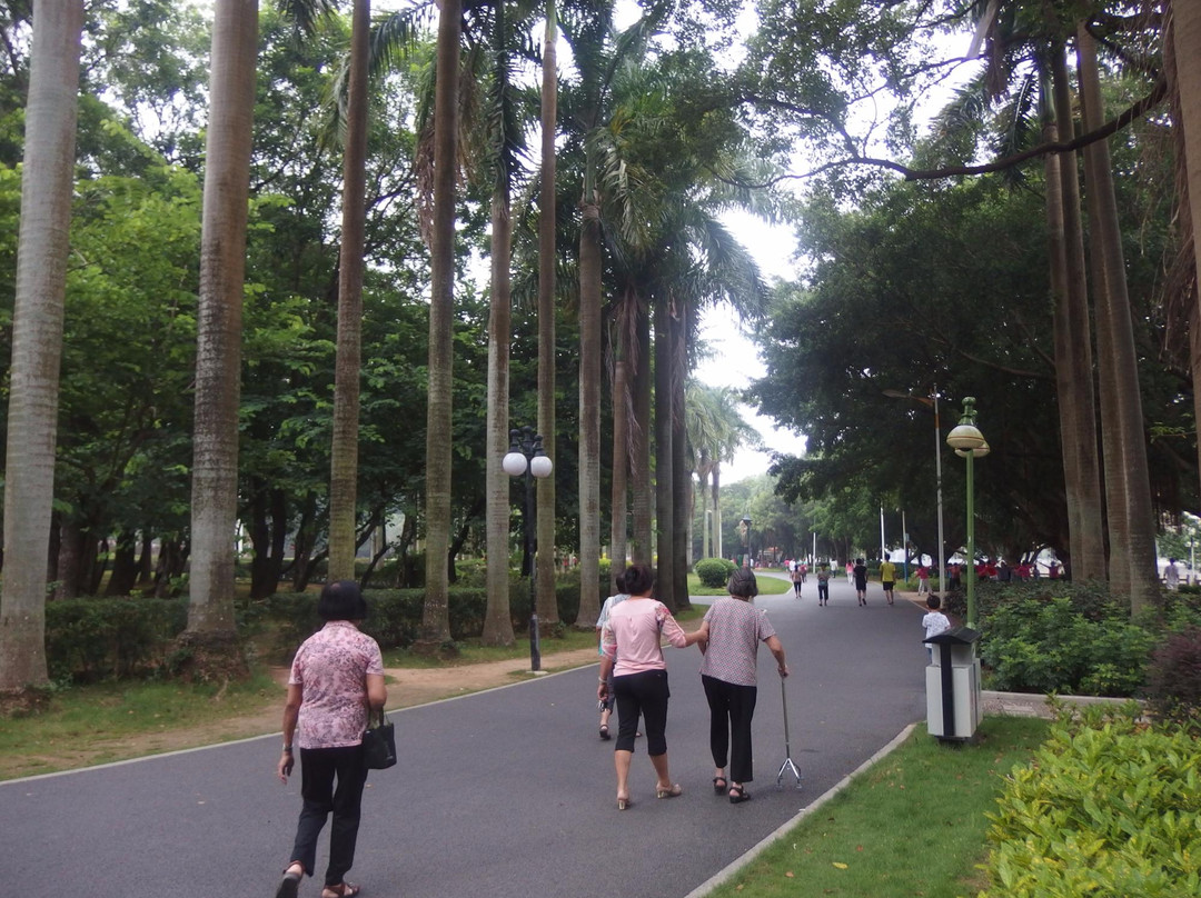 南湖公园-惠东县必去景点