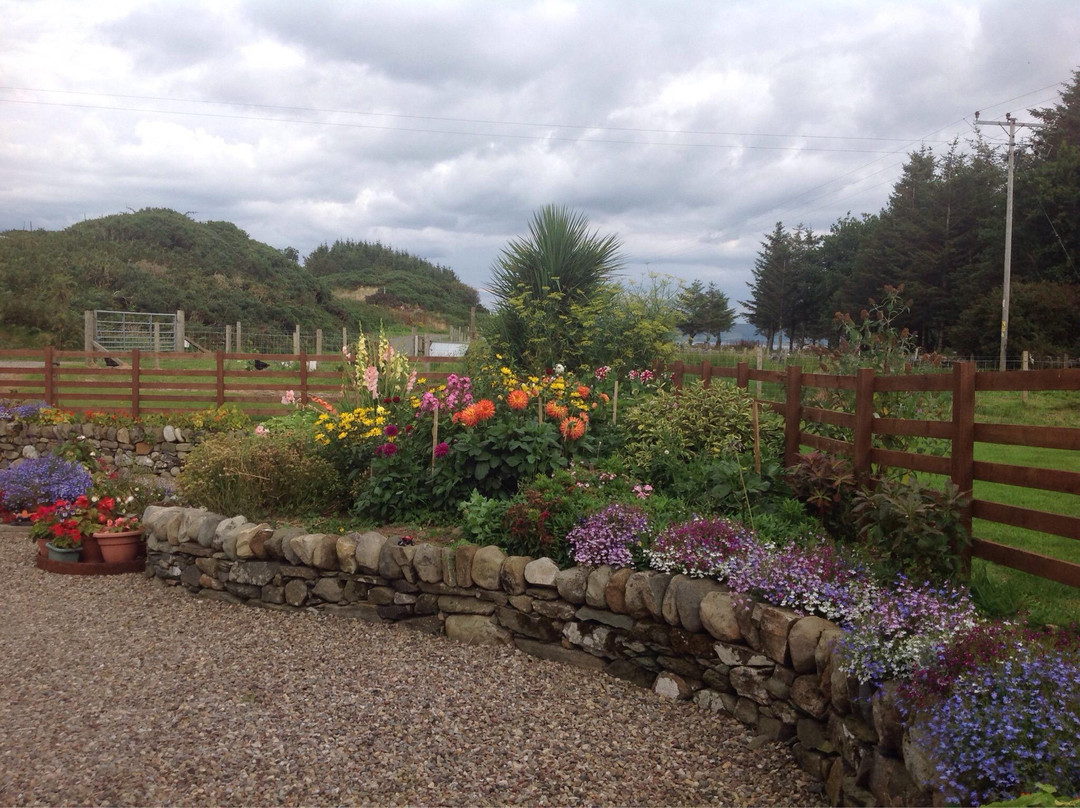 Springbank Bed & Breakfast主图