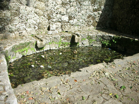 Kinjo Ookegawa-那霸市必去景点