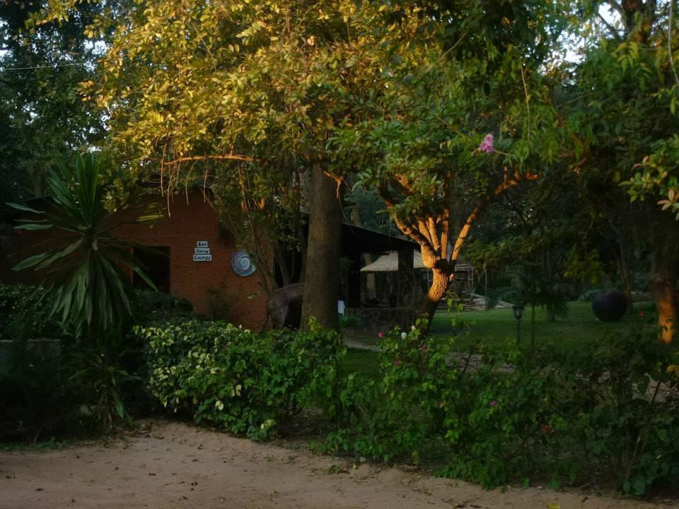 Forest Inn