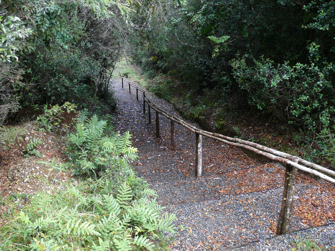 Ayaltue-蒙特港必去景点