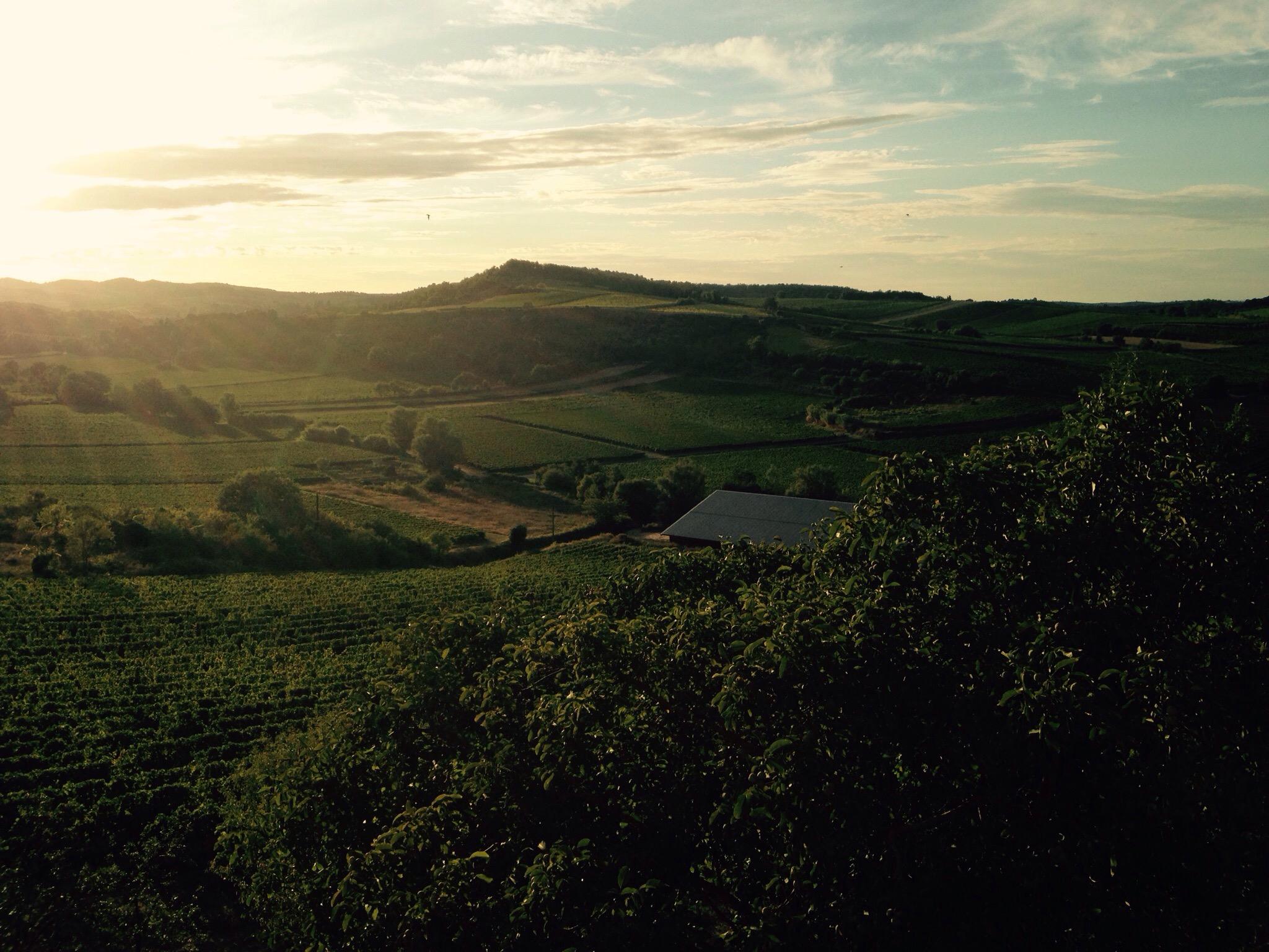 B&B in Limoux Au Pied du Figuier-酒店景观