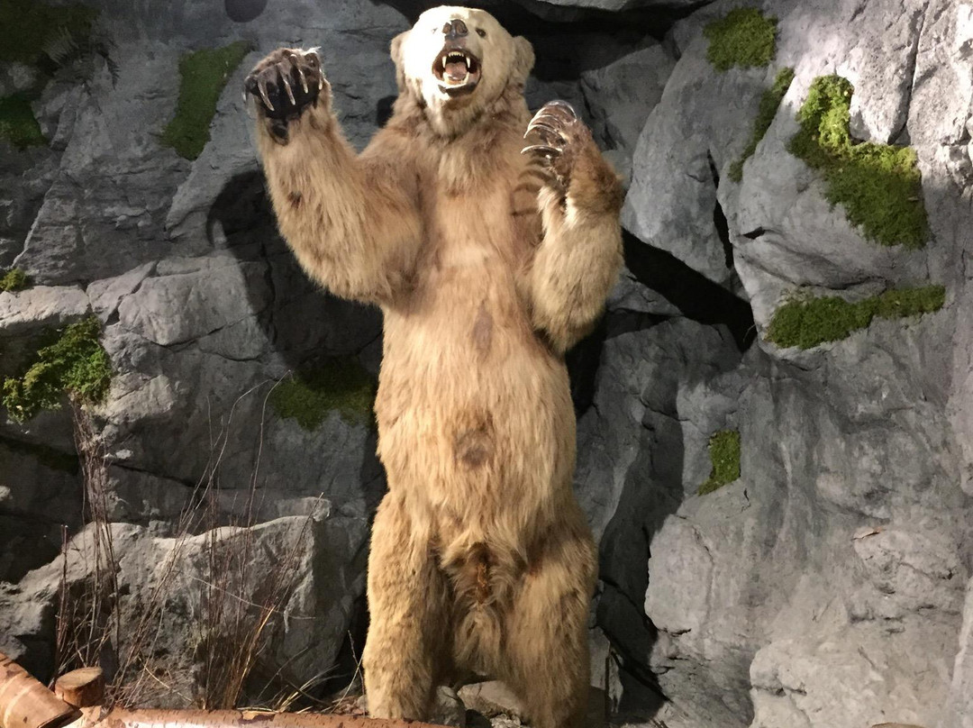 Bass Pro Shops-福克斯伯勒必去景点