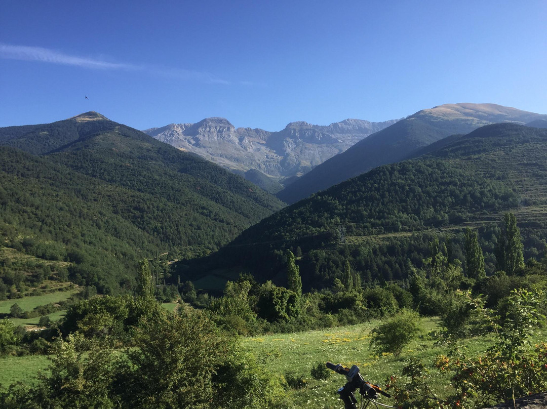 Bobi's Bikes景点图片