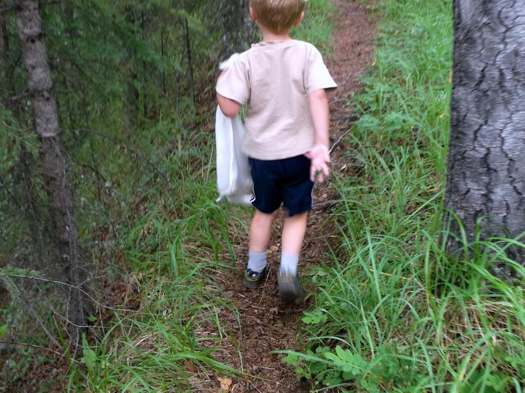 Tumbler Point Hiking Trail-Tumbler Ridge必去景点